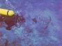 06Moorea - 033